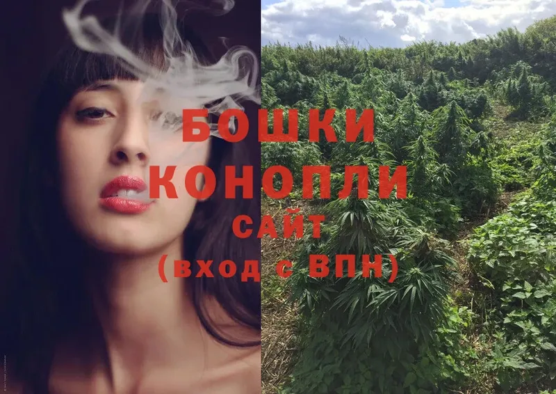 Бошки Шишки THC 21%  Пошехонье 